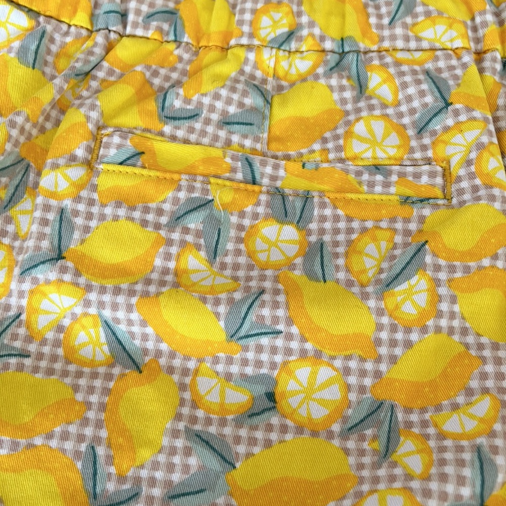 Lands’ End Size 16 Lemon Print/Gingham Check Pull… - image 6